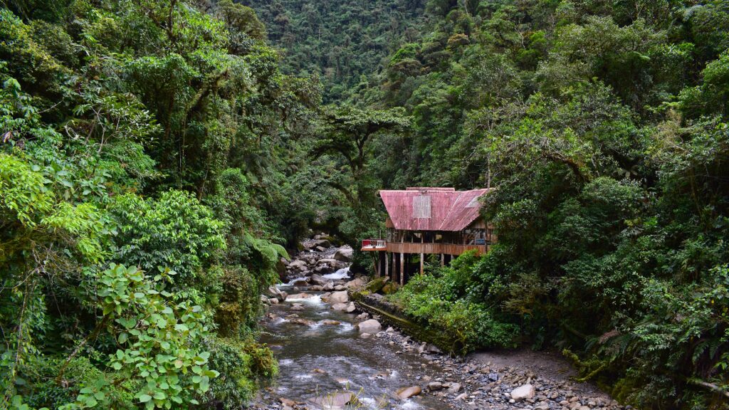 Tin hut in the Amazon rainforest