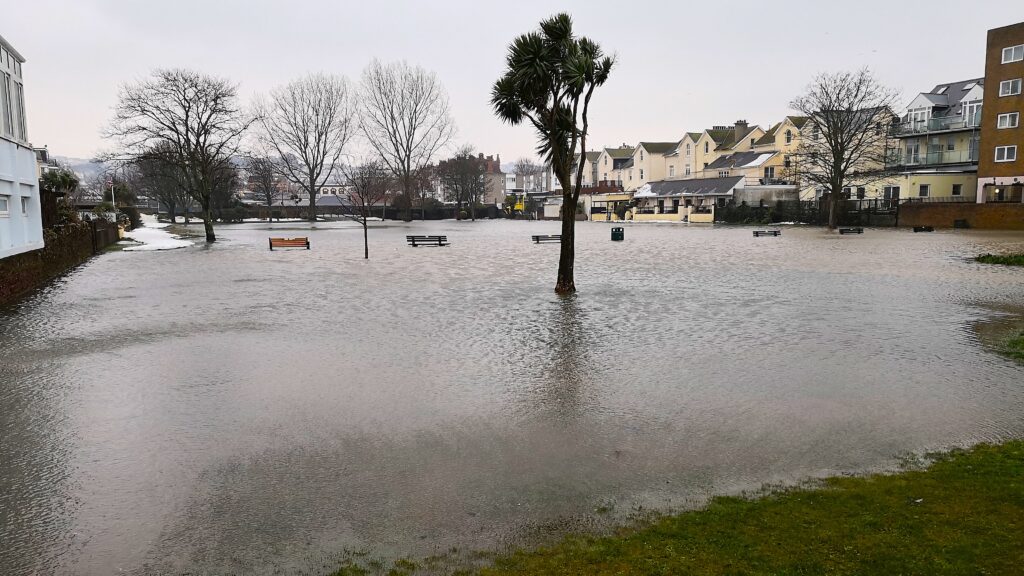 A flooded park