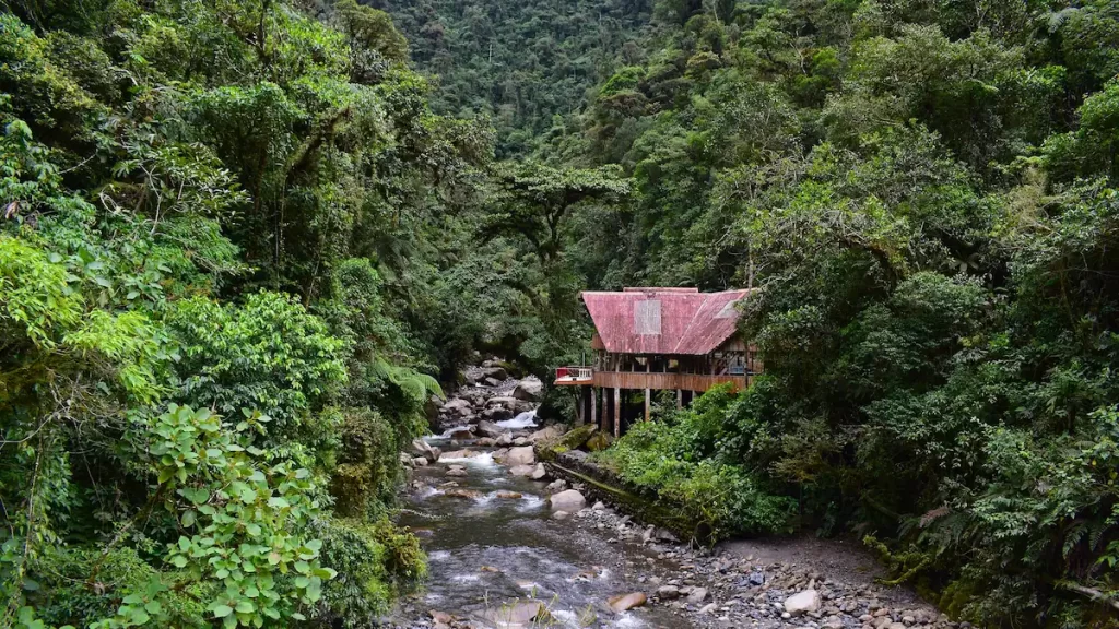 Tin hut in the Amazon rainforest