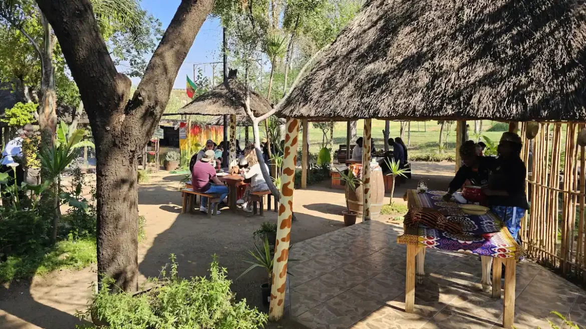Sunny outside communal area in Soweto hostel. People sitting on picnic benches under straw parasols.