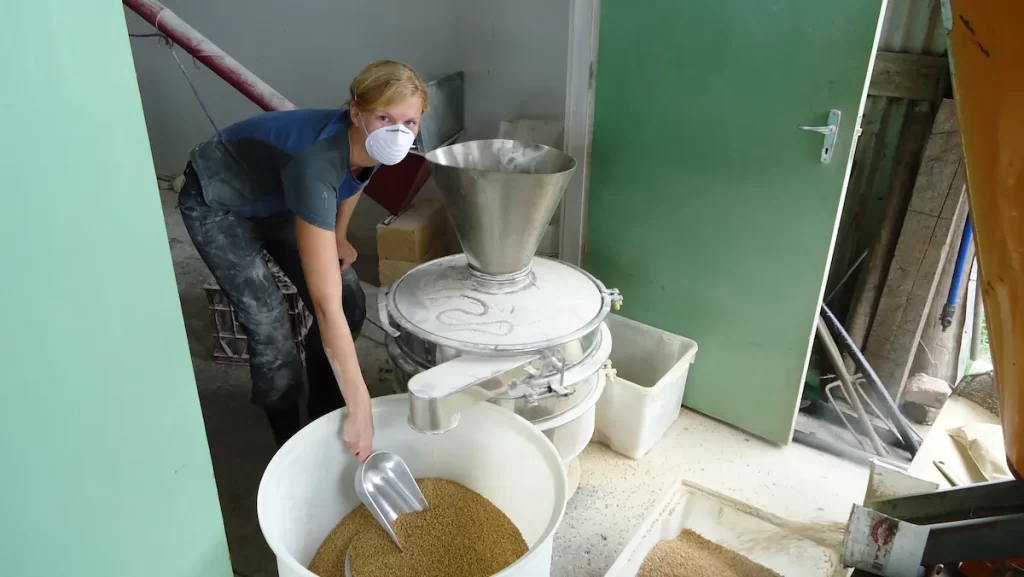 Sue, a young white woman and founder of The Practical Passport with a face mask on sorting grain for flour