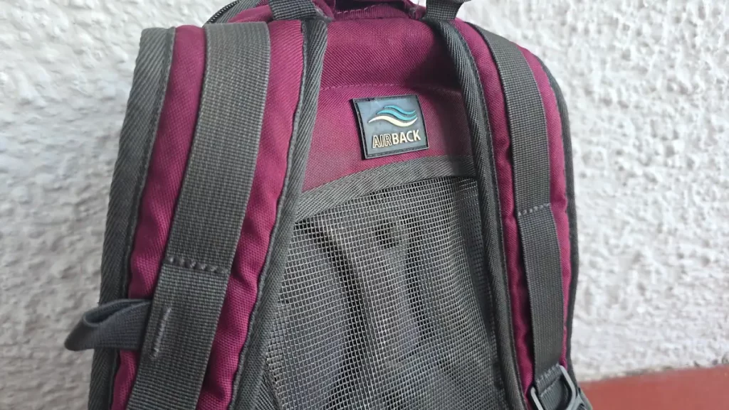 Backpack with a mesh back