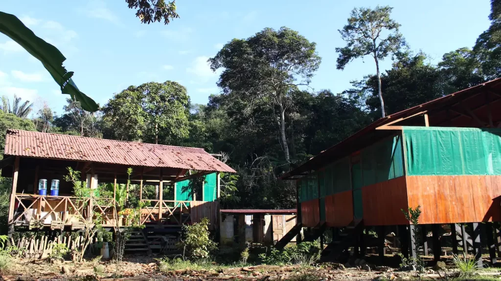 Two wooden huts in the Amazon rainforest