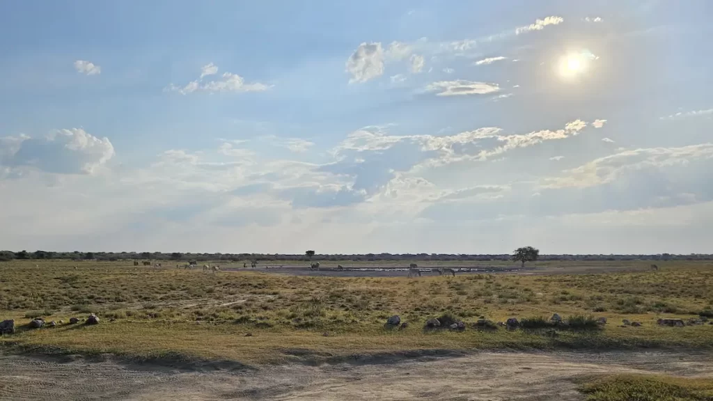 A watering hole in Botswana with a variety of large animals around it and a bright sun overhead