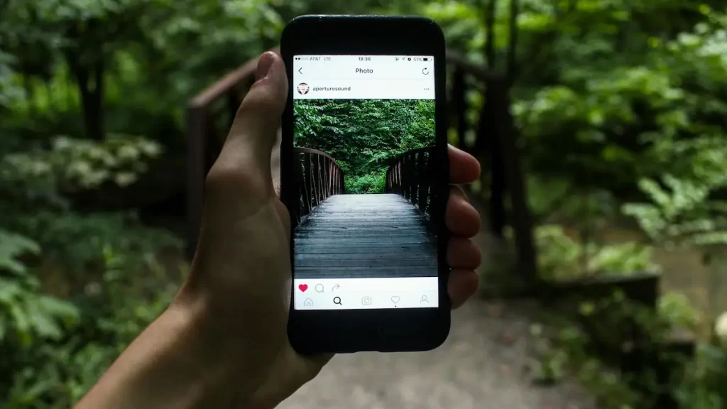Phone screen showing a photo of a bridge in a forest uploaded to social media