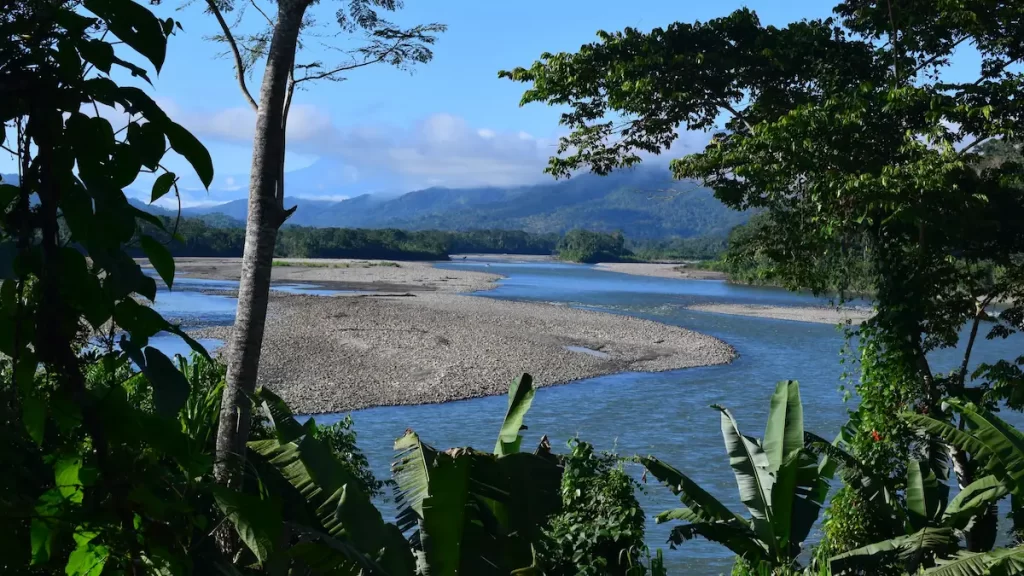 River running through the Amazon rainforest with mountains in the background