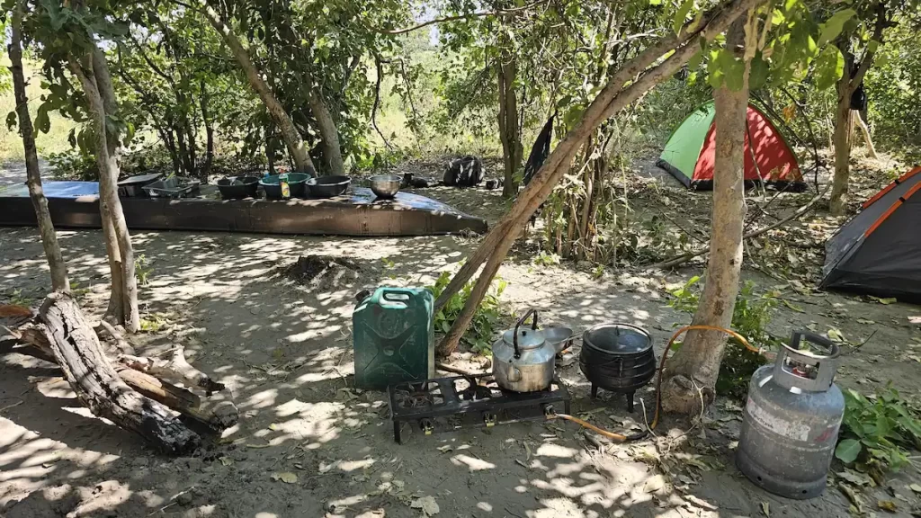 A basic cooking area in a forest, comprising of a gas canister, 2 ring hob, with some saucepans nearby